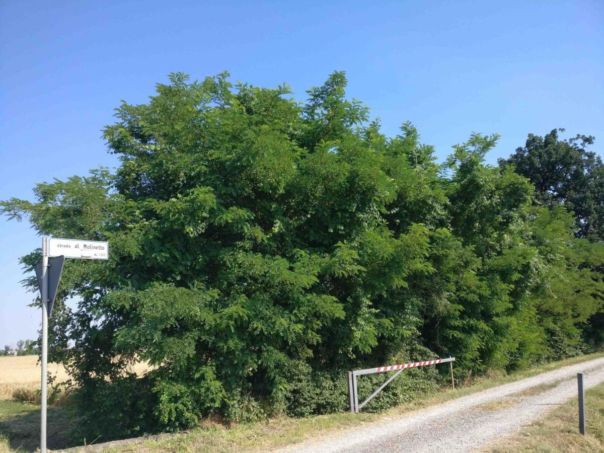 B&B Molinetto Piacenza Bagian luar foto